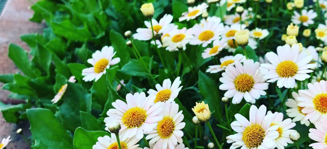 Making Life More Comfortable